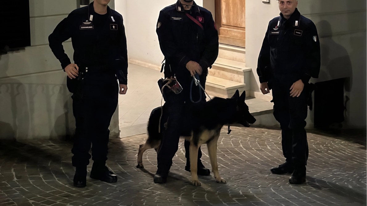 Durante la festa dell'uva ad Arcevia, controlli serrati hanno portato al ritrovamento di tre giovani con hashish. Le forze dell'ordine hanno coordinato le azioni per contrastare il consumo di droga tra i partecipanti, segnalando i trasgressori alle autorità competenti.