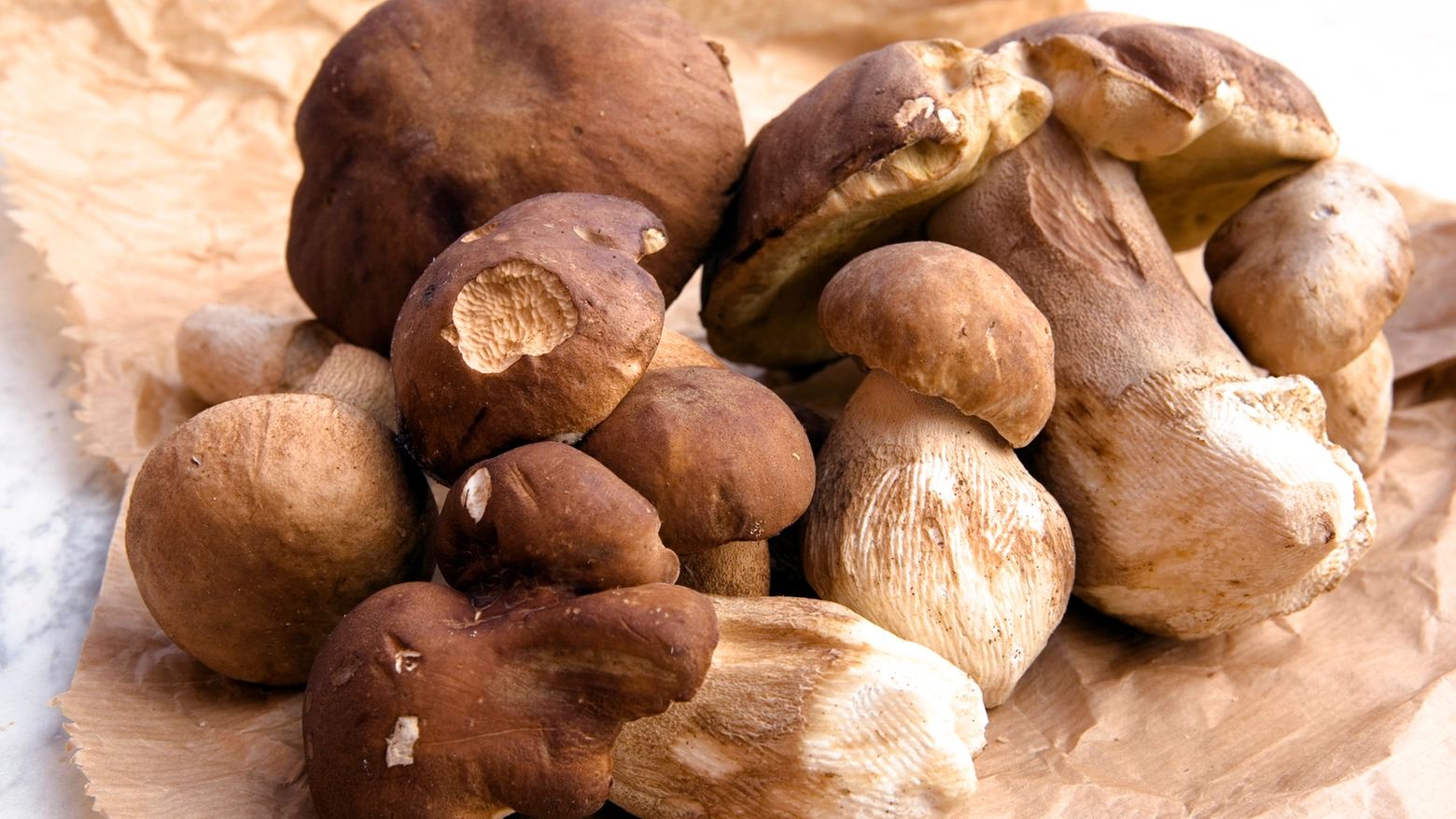 La gara avrà al centro tre tematiche: Biodiversità nel regno dei funghi, Raccolta rifiuti Raccolta funghi