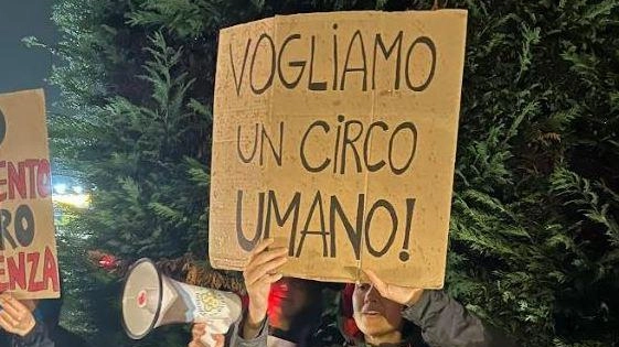 Protesta con cartelli vicino al serraglio Orfei. "Meglio gli artisti umani"