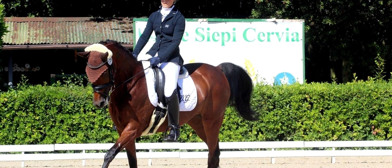 Il circolo ippico Le Siepi di Cervia celebra la sua 50ª stagione agonistica con i trofei italiani e la coppa delle regioni di dressage. Un evento di prestigio che unisce tecnica, eleganza e spirito di squadra, con 208 binomi in gara.