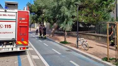 Un pino marittimo antico è stato piegato dal vento a Viale Trieste, creando un pericolo per i passanti. Intervento dei vigili del fuoco e della polizia locale per garantire la sicurezza, mentre l'amministrazione comunale valuta le azioni da intraprendere.