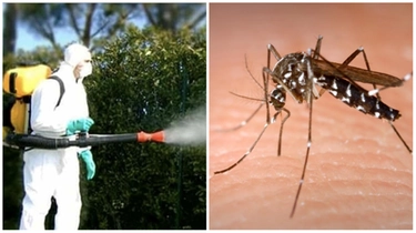 Altro caso di dengue a Modena, è il secondo in due giorni