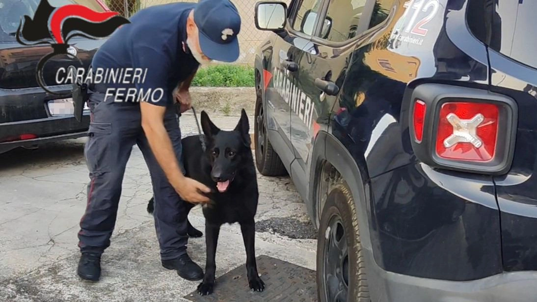 L’operazione «Take Away» è partita nel Fermano, ma ha riguardato anche Civitanova