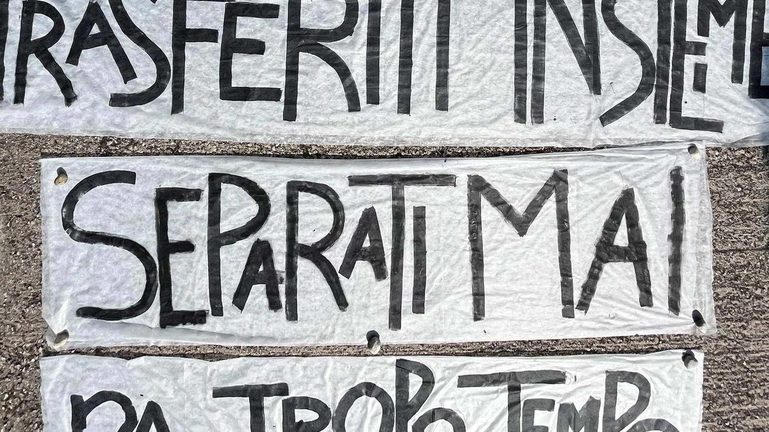 Fine scuola con protesta: "Abbiamo scritto a Mattarella"