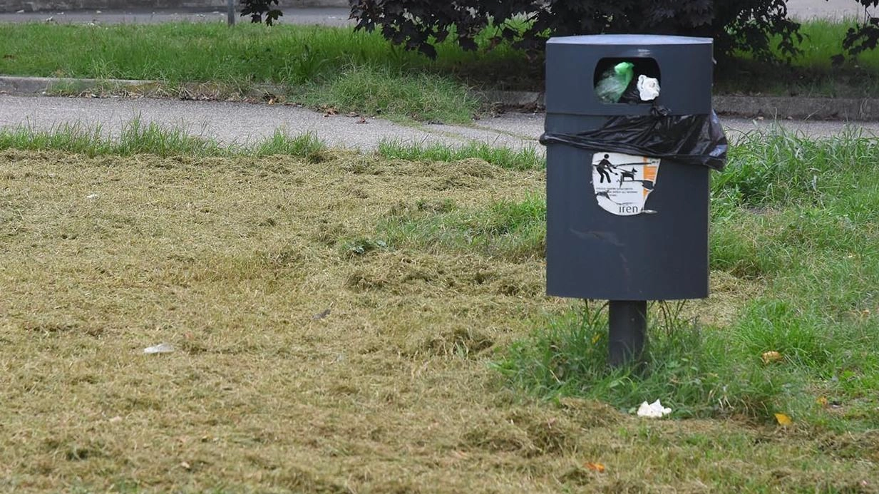 Aumentano le segnalazioni sul degrado dei parchi pubblici, ma la nuova amministrazione comunale ha un piano per affrontare la situazione, come dichiarato dall'assessora ai parchi Carlotta Bonvicini in risposta a un'interpellanza di Coalizione Civica. La lista di opposizione vigilerà sull'attuazione del piano, con particolare attenzione al parco vicino al campo da baseball in viale del Partigiano, dove si segnalano problemi di degrado e sicurezza.