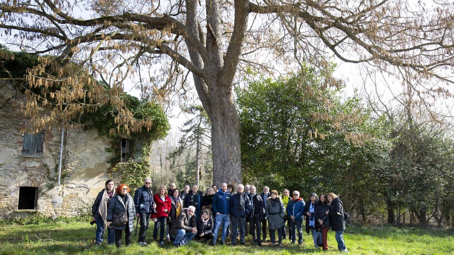 A Monteleone una serata dedicata agli alberi monumentali