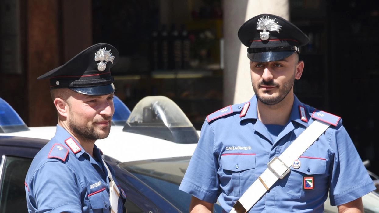 Sul caso hanno indagato i carabinieri di Rimini (foto d’archivio)