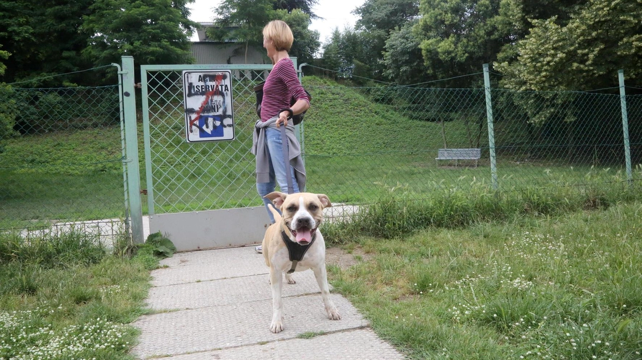 Un’area per cani in un parco: anche qui vige l’obbligo di raccogliere le deiezioni