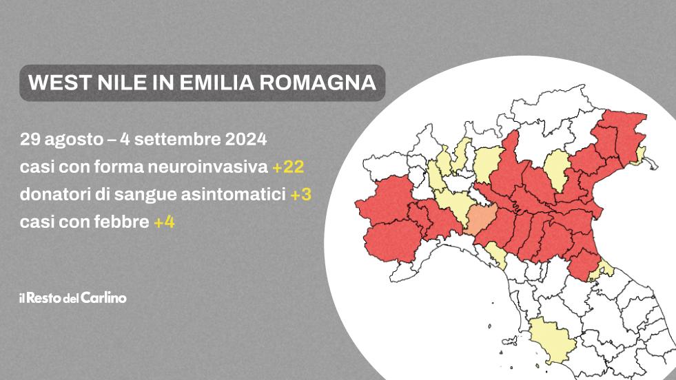 Casi West Nile in Emilia Romagna: gli ultimi dati sulla Febbre del Nilo