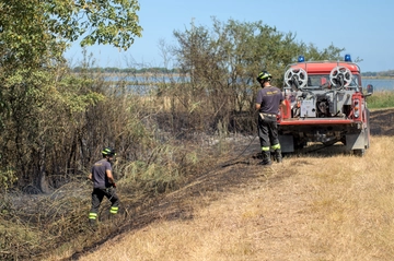 Incendio all’Ortazzo di Ravenna: alta colonna di fumo visibile dall’Adriatica