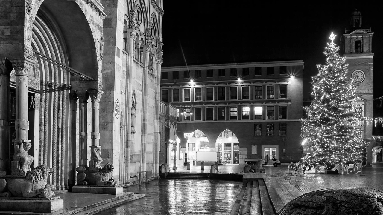 Tempo di feste, di dolci pensieri, di luci, di passeggio, di serenità e di... fotografie. Ed ecco, allora, il graditissimo...