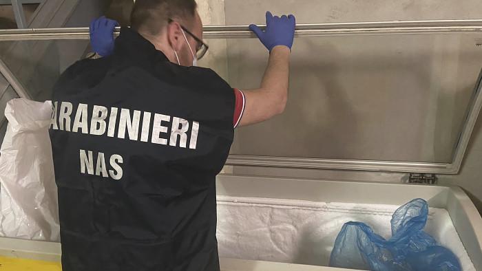 Cibi scaduti e blatte in cucina: chiuso dai Nas un ristorante di Parma