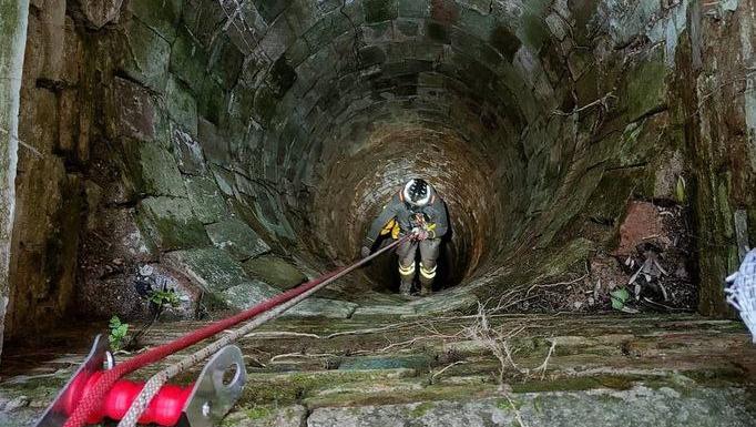 Cane da caccia cade nel pozzo: salvato a Cupra Marittima