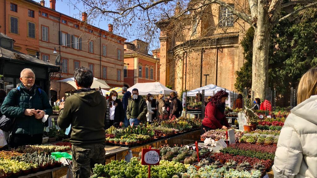 Nel fine settimana il centro si colora con la kermesse ’Modena in fiore’