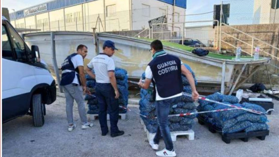 Gli uomini della Guardia costiera mentre sequestrano i mitili al porto di Fano