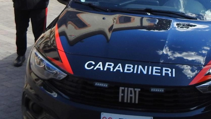 Calci e pugni ai carabinieri, assolto: "Incapace di intendere e di volere"