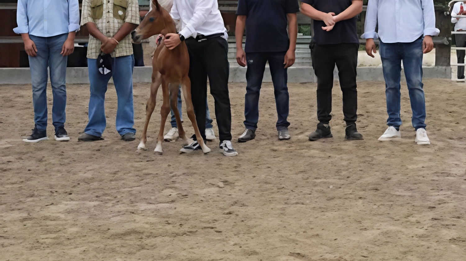 L’alto Savio è a cavallo con la scuderia Elegantica