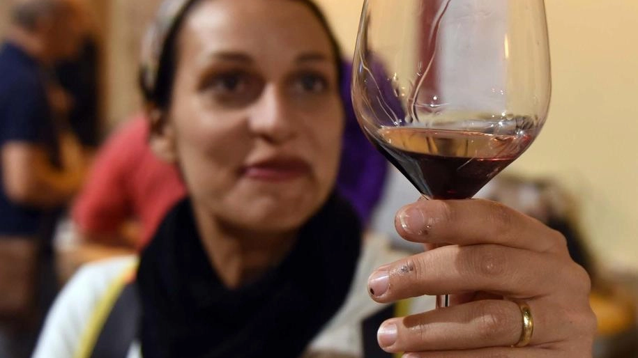 Aziende vinicole aperte. Arriva ’Calici erranti’