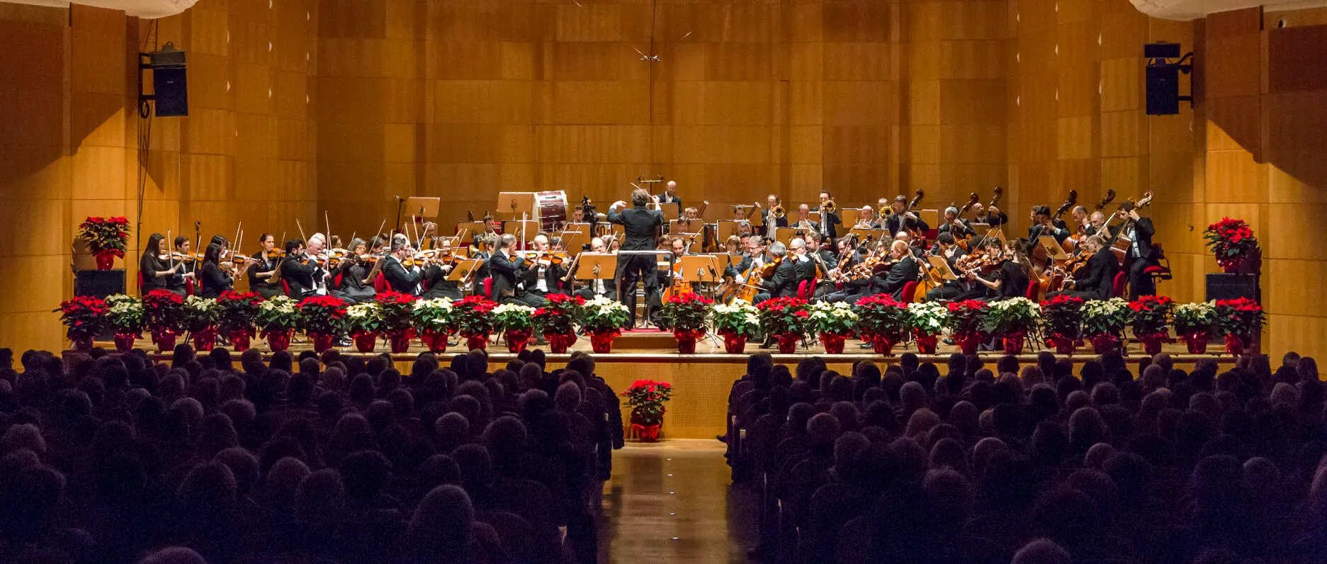 Eventi a Bologna lunedì 4 novembre 2024, il programma