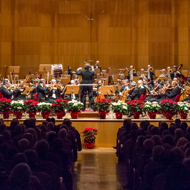 Eventi a Bologna lunedì 4 novembre 2024, il programma