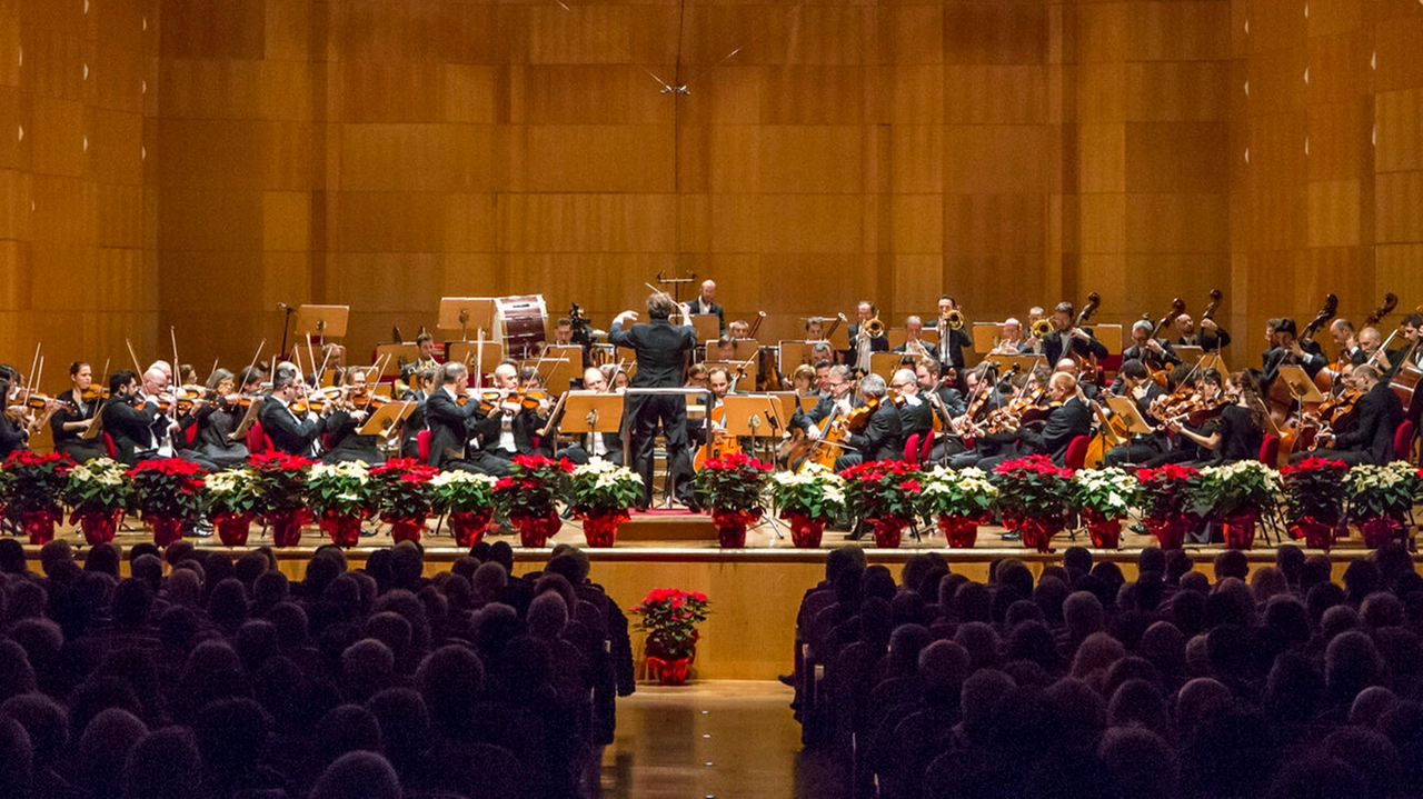 Ecco tutti gli appuntamenti da non perdere: teatro, musica e cinema sotto le Due Torri