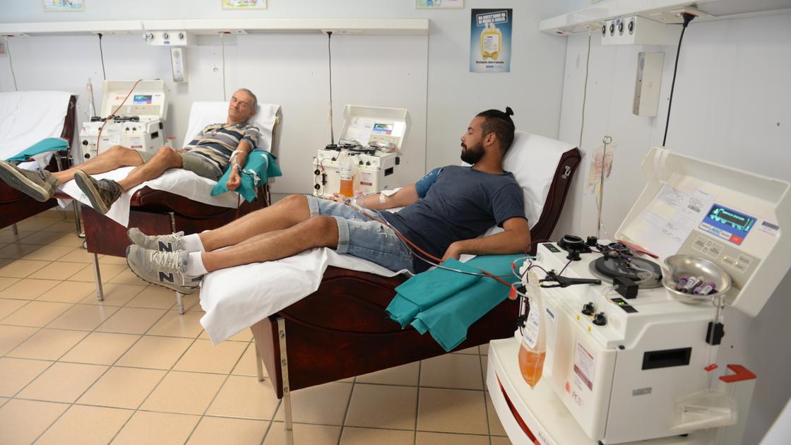 Plasma, donazioni boom. Avis, non solo sangue: +26,5% in nove mesi