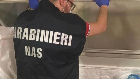 Controllo dei carabinieri del Nas: diverse irregolarità in un fast food a Reggio Emilia