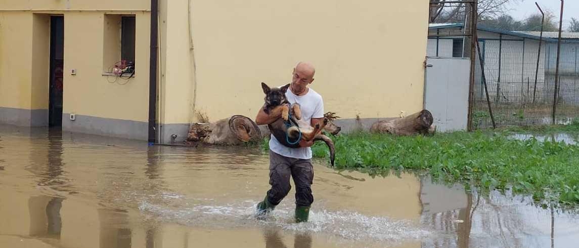 Aumentano gli sfollati . Tanti restano a casa: pronti i sacchi di sabbia