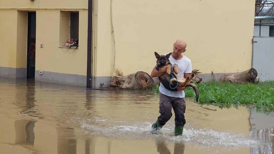 Aumentano gli sfollati . Tanti restano a casa: pronti i sacchi di sabbia