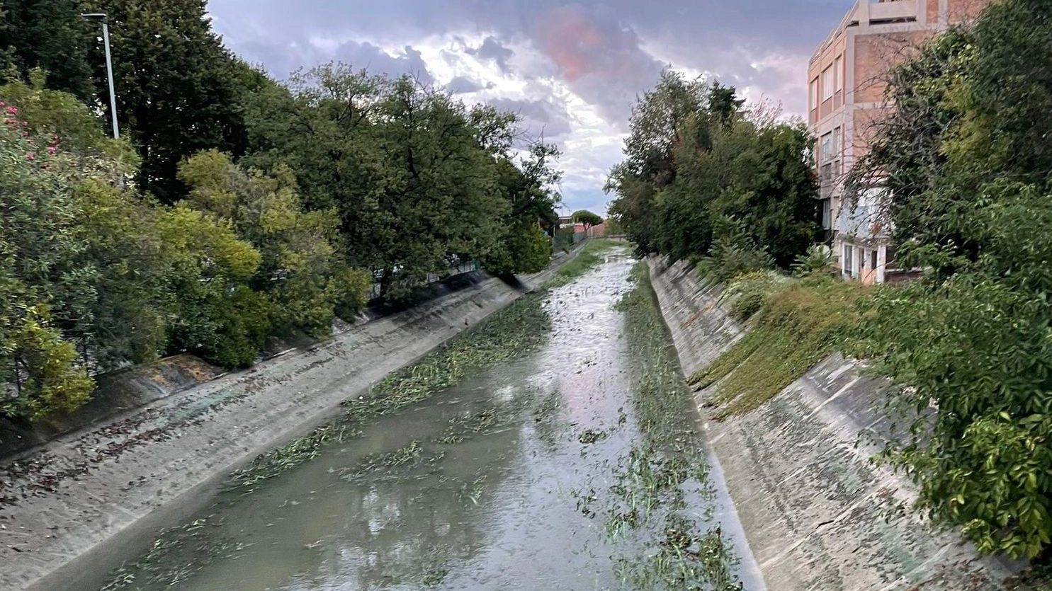 "Dieci milioni per interrare il canale Albani"