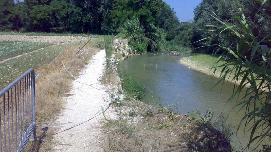 A Recanati si procede con i risarcimenti per i terreni espropriati per la ciclovia del fiume Potenza, ma la manutenzione della pista ciclabile resta un problema, compromettendo la sua fruibilità e sicurezza. Le richieste di intervento sono state ignorate, nonostante l'importanza del turismo ciclistico nella regione.