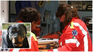 Assalita dal suo cane Rottweiler: braccio dilaniato, operata d’urgenza. E’ grave