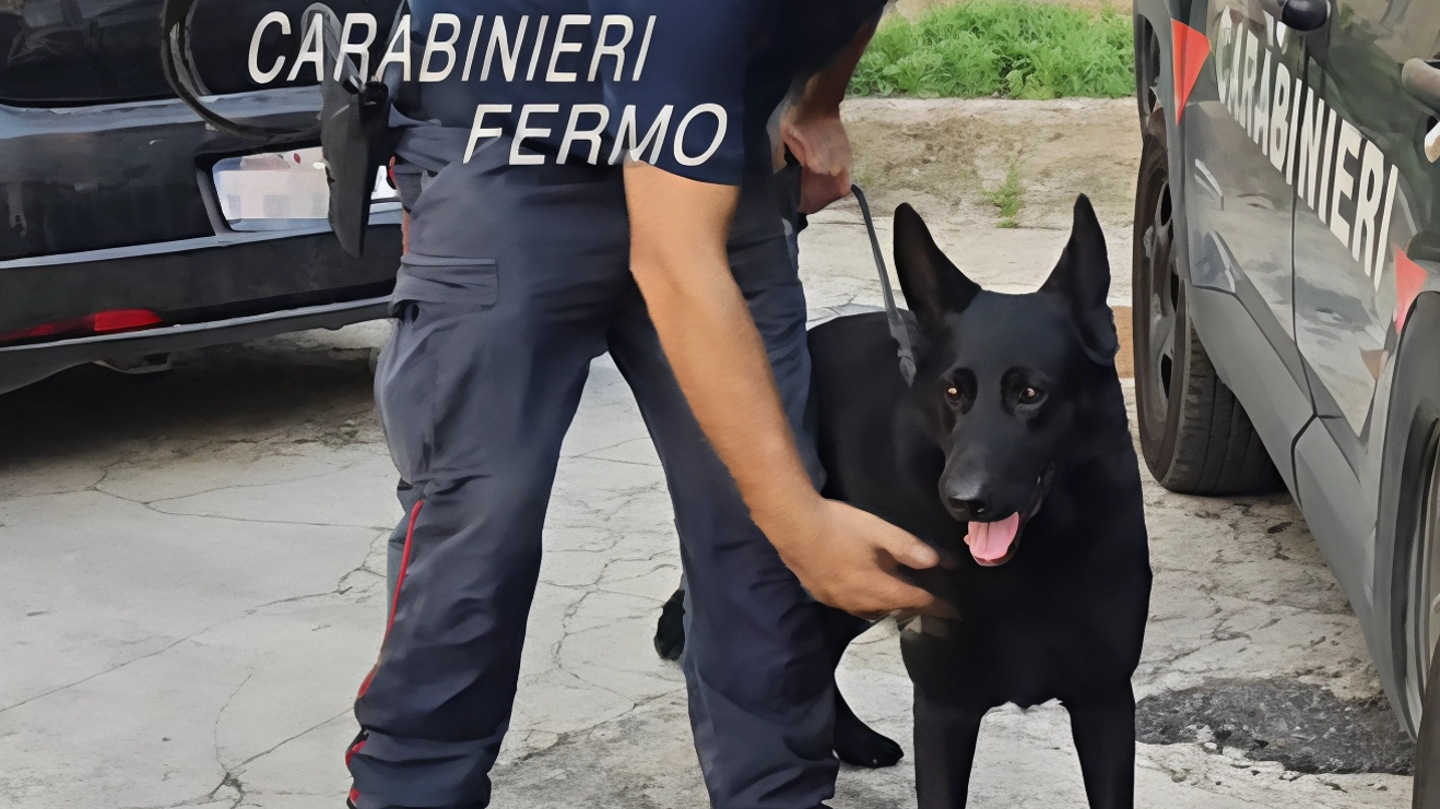 Maxi giro di cocaina: arrestati in dieci