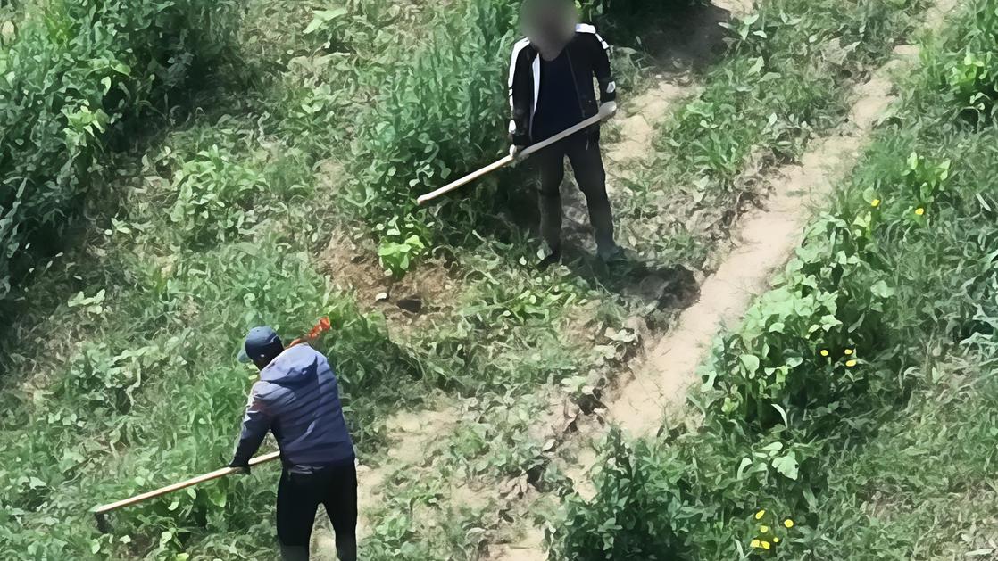 Stranieri irregolari nei campi, denunciati i titolari di due ditte agricole