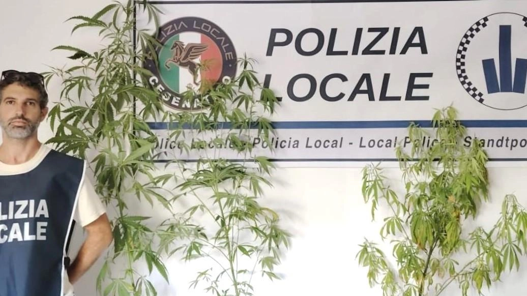 La droga sequestrata dopo il blitz nell’abitazione del 50enne