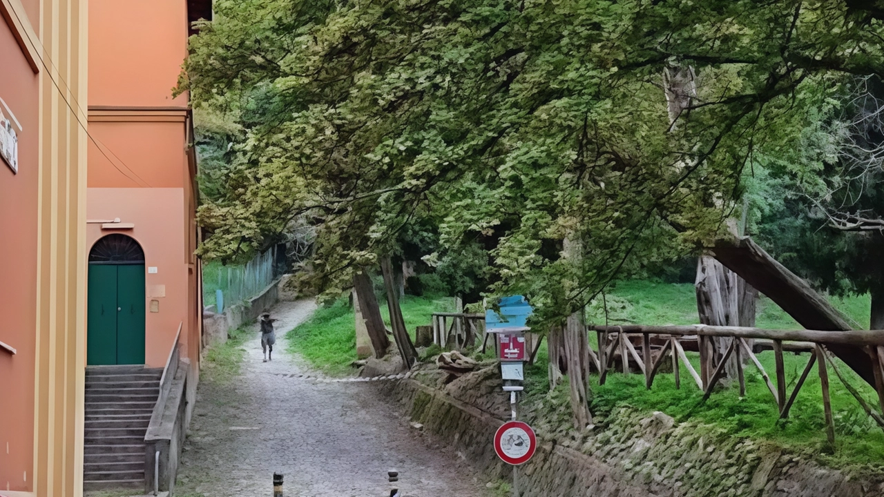 L’albero caduto a Parco Talon e precipitato sulla chiesa di San Martino