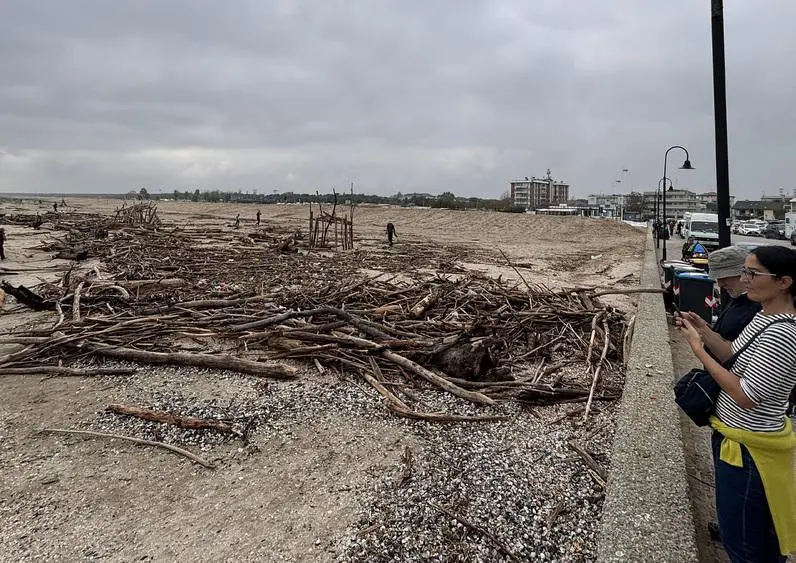 Tronchi sulla spiaggia: "Vanno rimossi da Hera. Inviata una segnalazione"