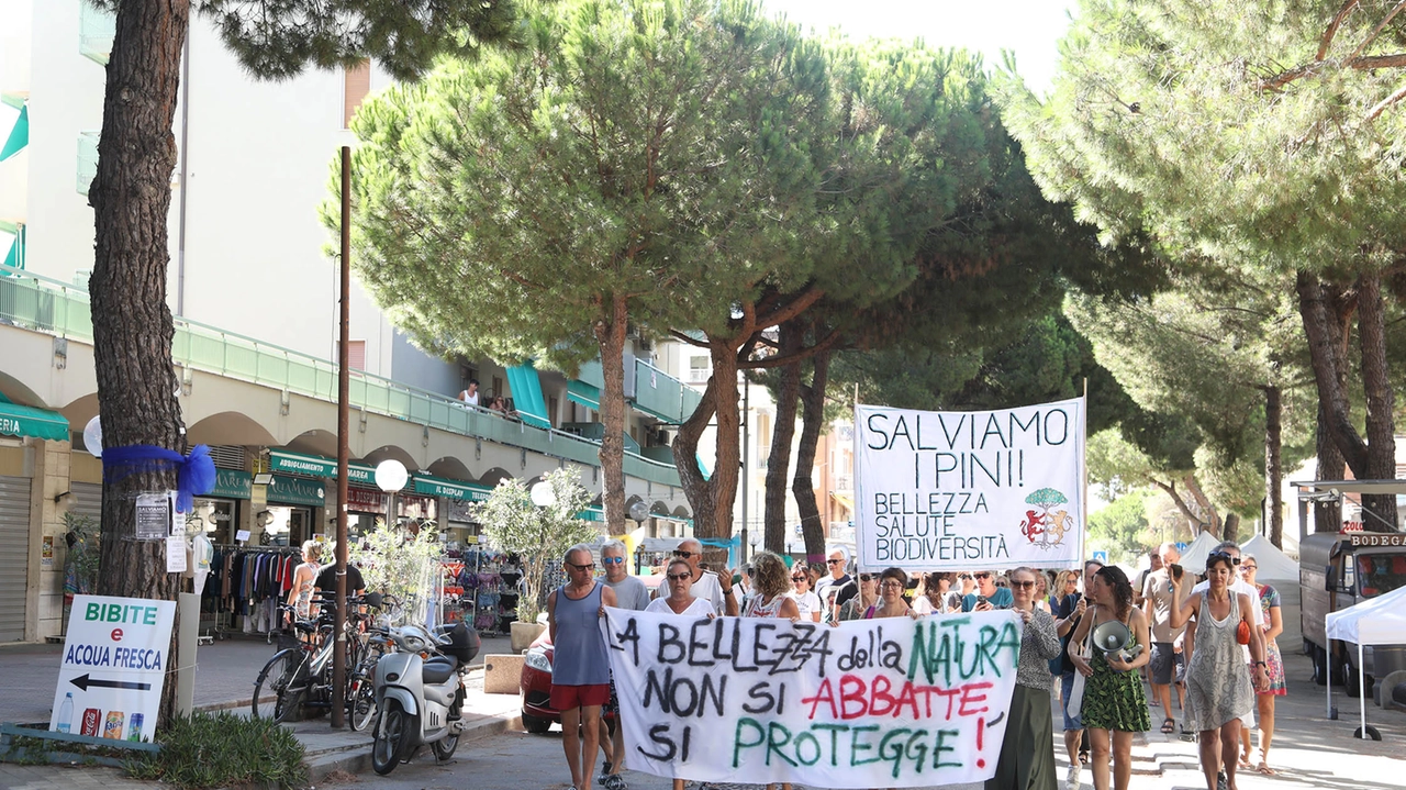 La protesta in viale Romagna contro l’abbattimento di 60 alberi