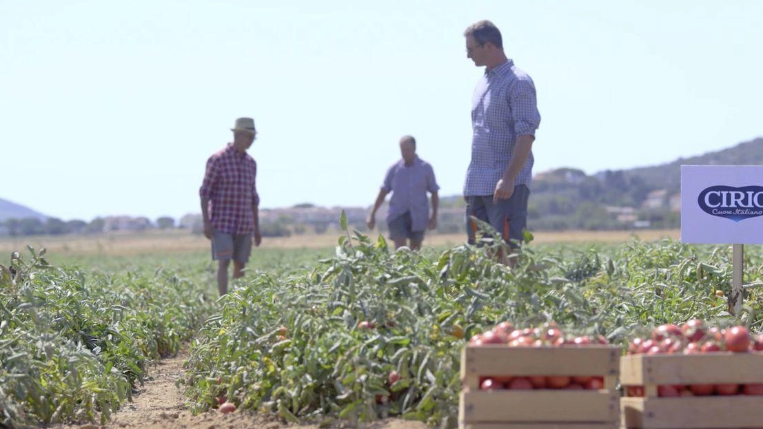 Conserve Italia guarda al futuro: "Noi, al fianco dei nostri soci. La sfida delle transizioni si vince solo facendo squadra"