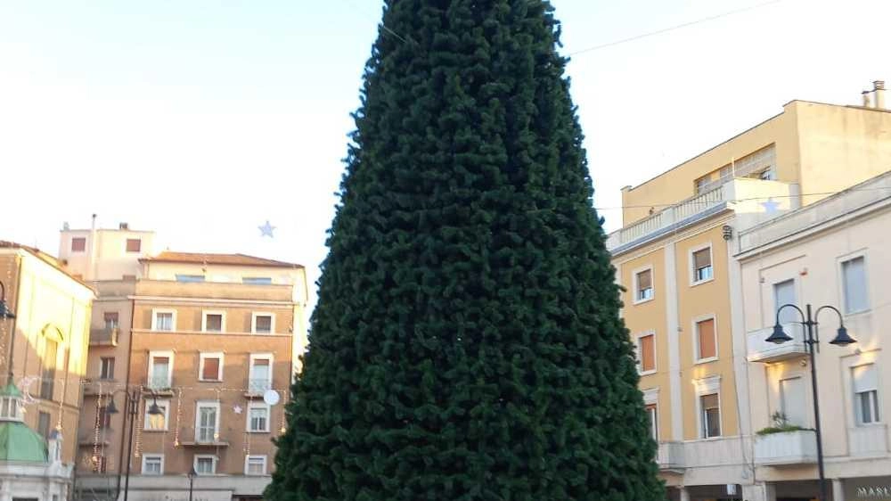 L’albero di piazza Tre Martiri