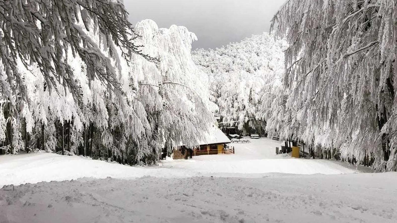 Neve a bassa quota in arrivo in Emilia Romagna: quando e dove