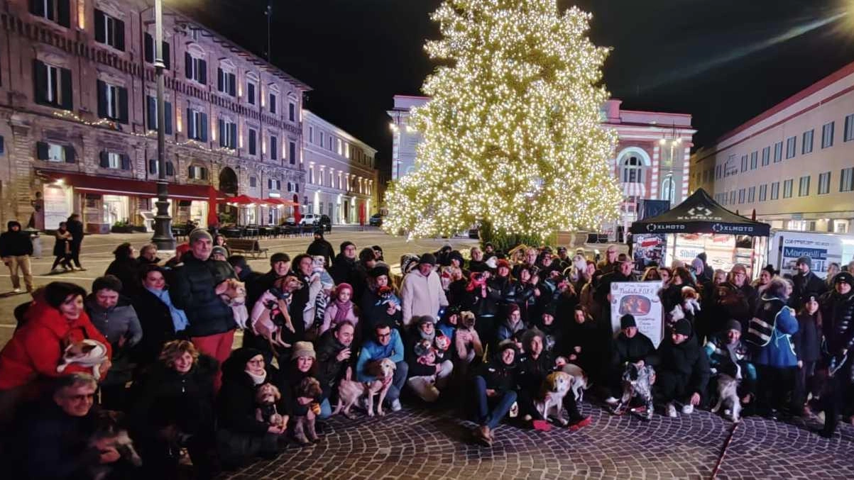 Successo annunciato per la 34esima edizione di "Natale insieme, amico cane"