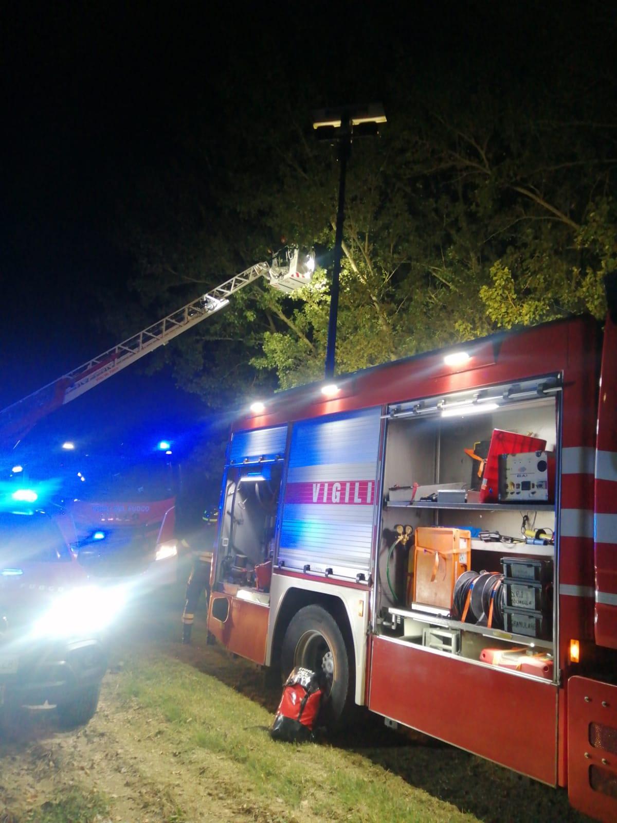 Cade con il paracadute e resta impigliata nell’albero: salvata