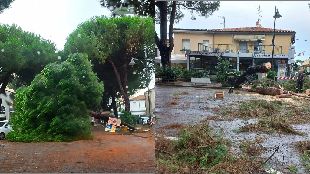 Albero caduto in strada a Punta Marina (Foto pagina Facebook Sei di Punta Marina se)