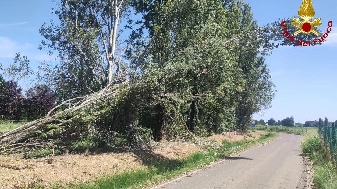 Centocinquanta interventi svolti dal Comando, operazioni in corso anche ieri. Disagi dopo la tromba d’aria e la grandine: "Evento meteo eccezionale".