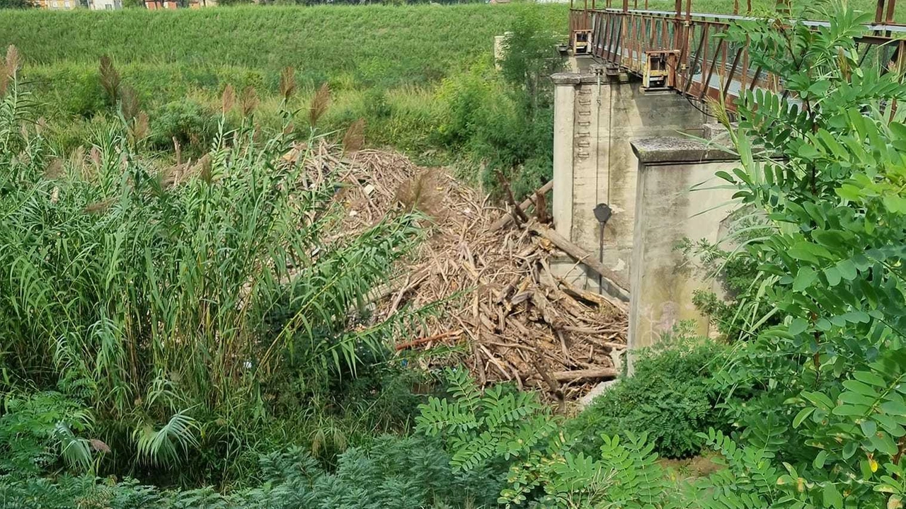 Il legname si è accumulato sotto il ponte di Castiglione dopo l’alluvione del 18 e 19 settembre