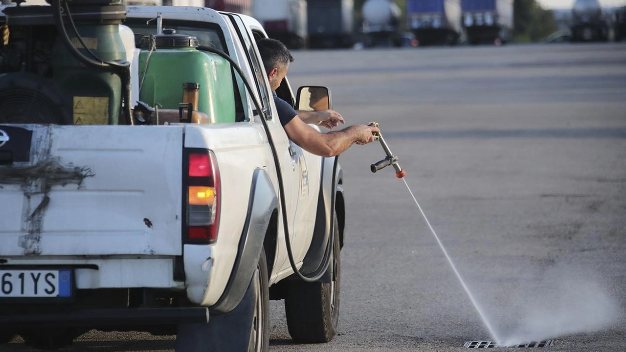 Personale al lavoro per la disinfestazione anti-zanzare