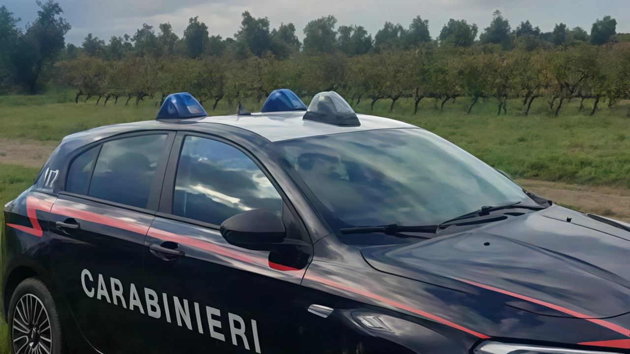 Anziano disperso ritrovato sano e salvo grazie all'intervento tempestivo dei Carabinieri e dei Vigili del fuoco. Familiari ringraziano gli operatori per il lieto fine.