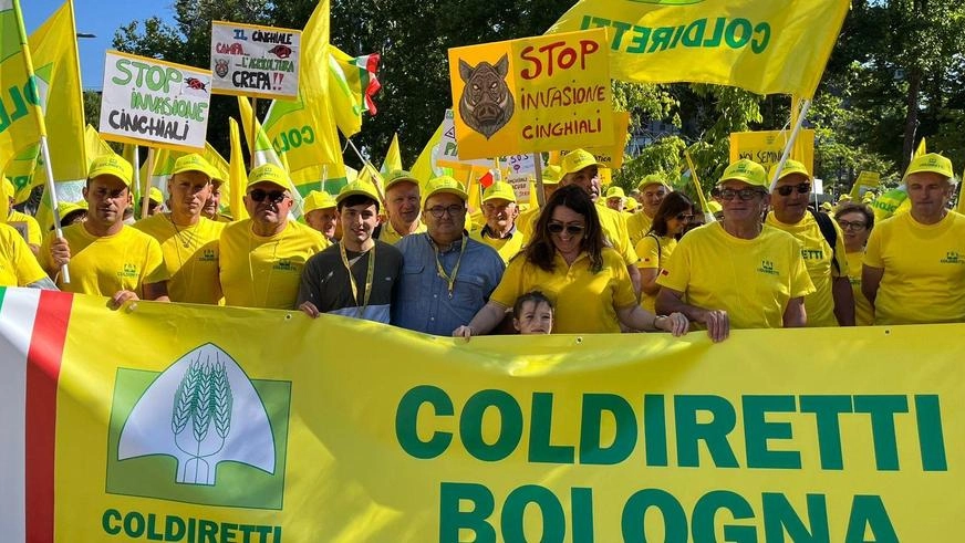 Coldiretti sfila in corteo a Bologna: "Troppi danni dai cinghiali"