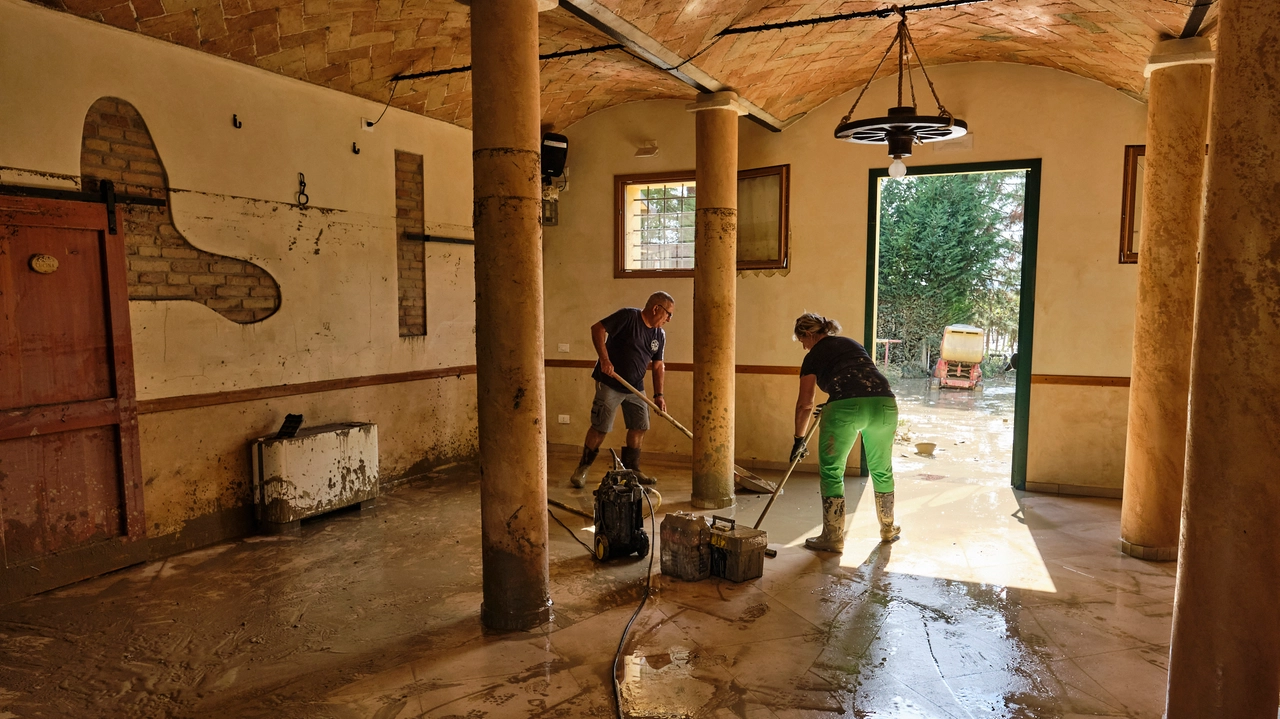 Alluvione, pulizia di case e attività dal fango (foto Tedioli)